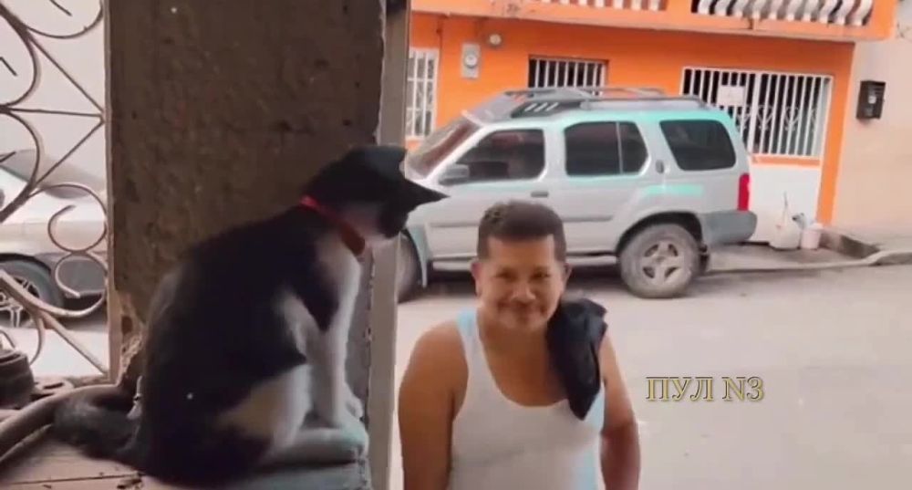 ��� ��������: � �������� �������� ����������� ��� �� ������, ������� ����� ���� ��� �������� ���� - �� ������������� ����������� ����� ������ �� ������