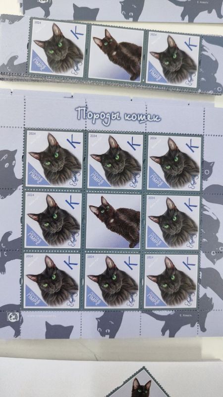 ����� �����-�����. ��� ����� ����� ������� �����. �� ������: ������������ ���������������, ����-���, ����� (�������� ������������), ���������� ���������������