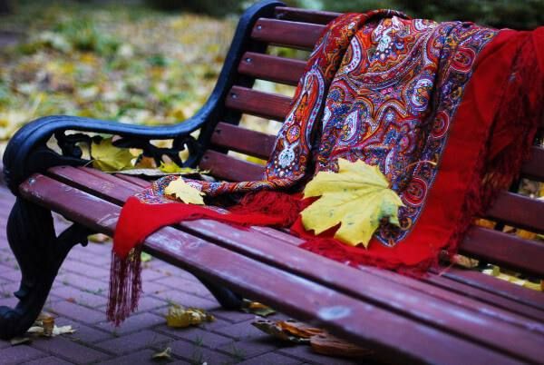 � ������ ���� ���� �������