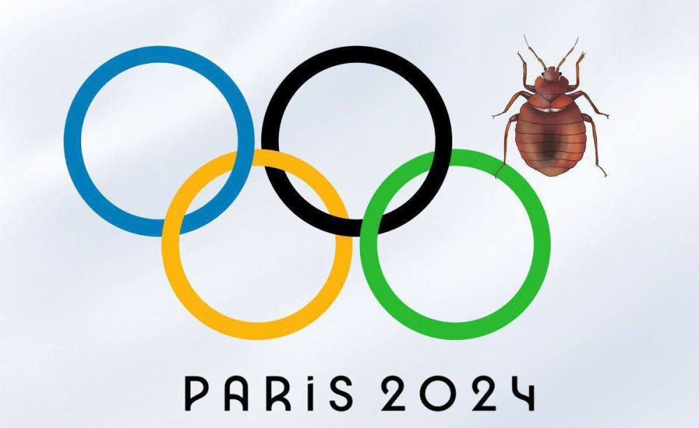 ������� ������� ���������-2024 � ������