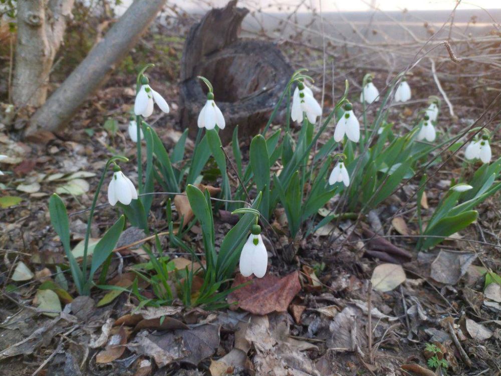 ������������ ��� � ����� ����� ����� ������������ ��� ������ ������� ����������� �����