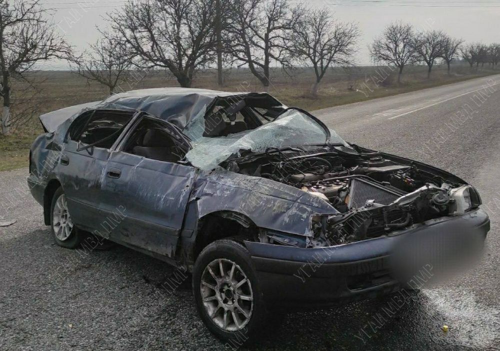 20-������ �������� �������� �� ��������� � �����������, ���������� ������� �� ������� � ������������