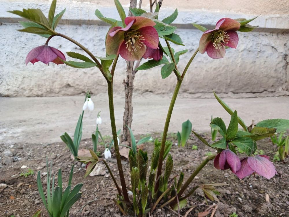 ��� ���, ��� ���������� �� ����� ������� �����