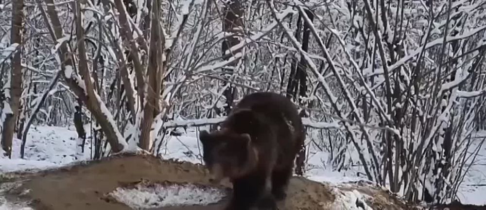 � ������� ��������� �� ������ ��� ���� ��� ������ � �������������� ������