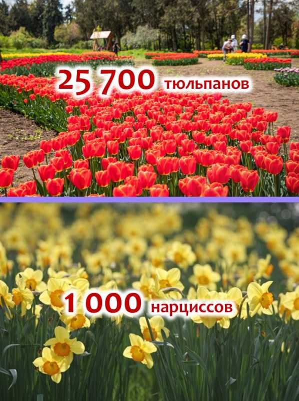 ������� ��������� � ��������� �������� � ����������� ���������