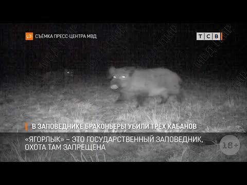 ��� ����� ������� ����� ���������� � ���������. ��� ��������������� ����������, ����� ��� ���������. ������������ ������������ ��������� ���������� ����������. � ��� ��� ��������� �������� � ����