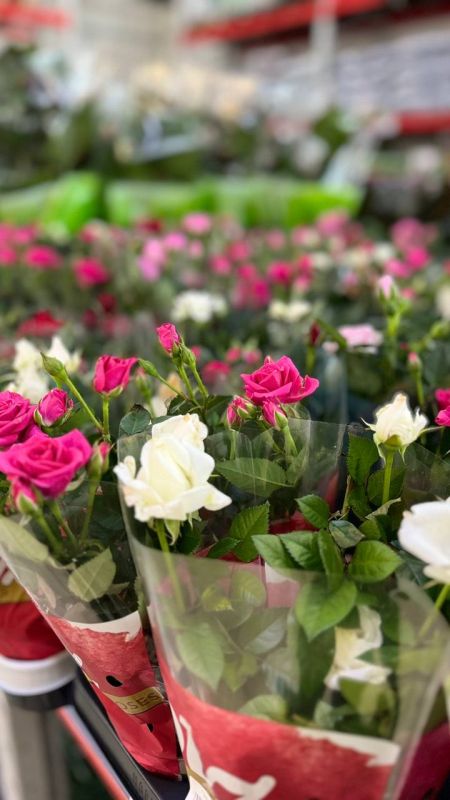 ������ ��� � ����� ��������� ����������� ������������ � ���������