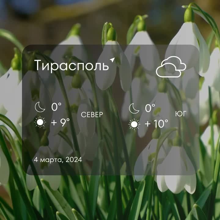 � ������ �� �������:. � ������� ��������� ���������� ����������, ��� �������