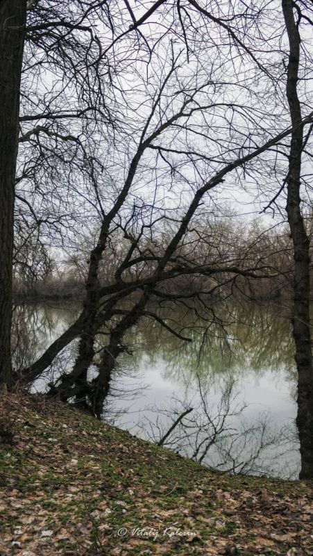 �������� ������.. ���� ������� ��������