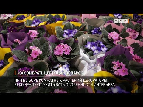 ������ ��� � ����� ��������� ����������� ������������ � ���������. ������ ��� ������������ ������������ ����� ������. ��� ��������� �������� �������, ��������� ������� ��������