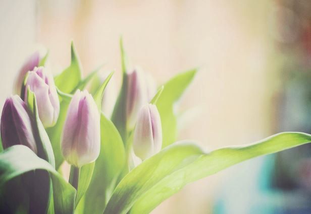 �������� "�����������" ������