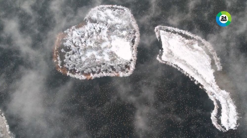 � ���-�� ���� � �����. ����� �� �����, ��� ���� ������� ���� �����