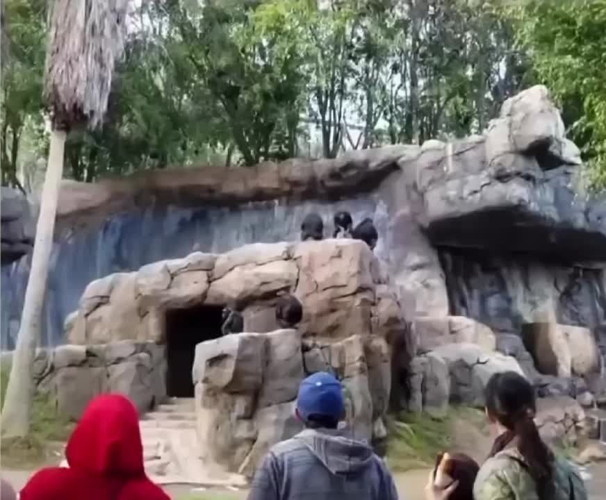 ���� �������� ������ ���� ������ �� ��, ��� ��� ������ ����� � �����