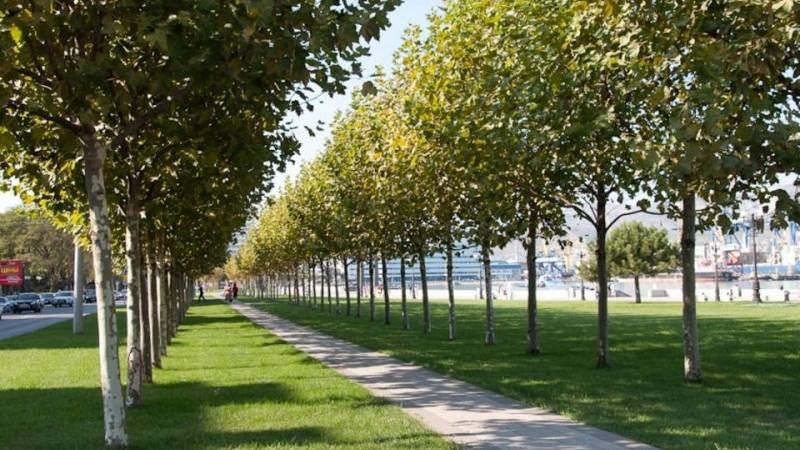 ����� ���������������� ���������� �� ����� ����������� � ���������� �����, ������� ������ �� 5 ��������