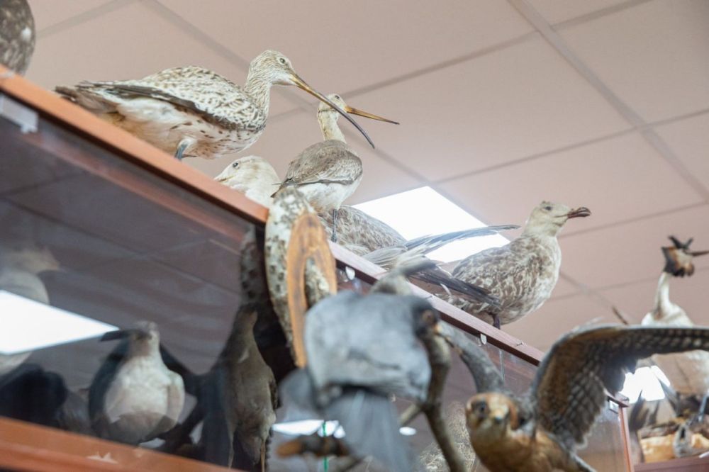 ������������������ � ������������� ����� ��� ������� 12 ������ �� ��� ������������ ��������� �� �������-��������� �����������