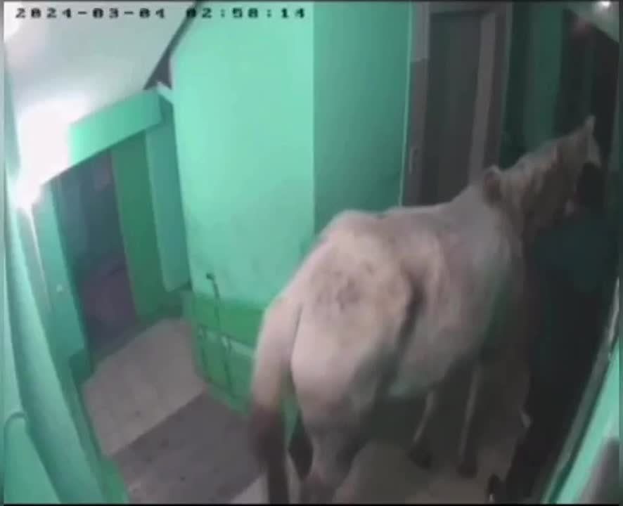 ��������� �������� ��� ������� � ����������� �������