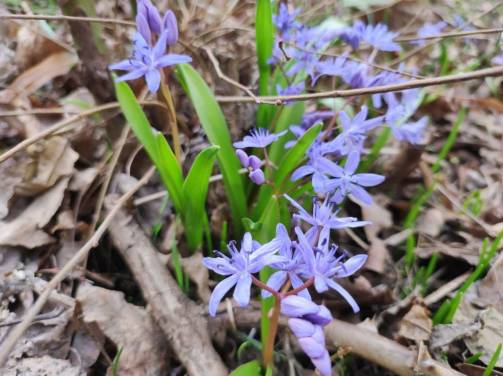 ������� ������. �������, 5 �����, ��������� ���������� ����������, ��� �������