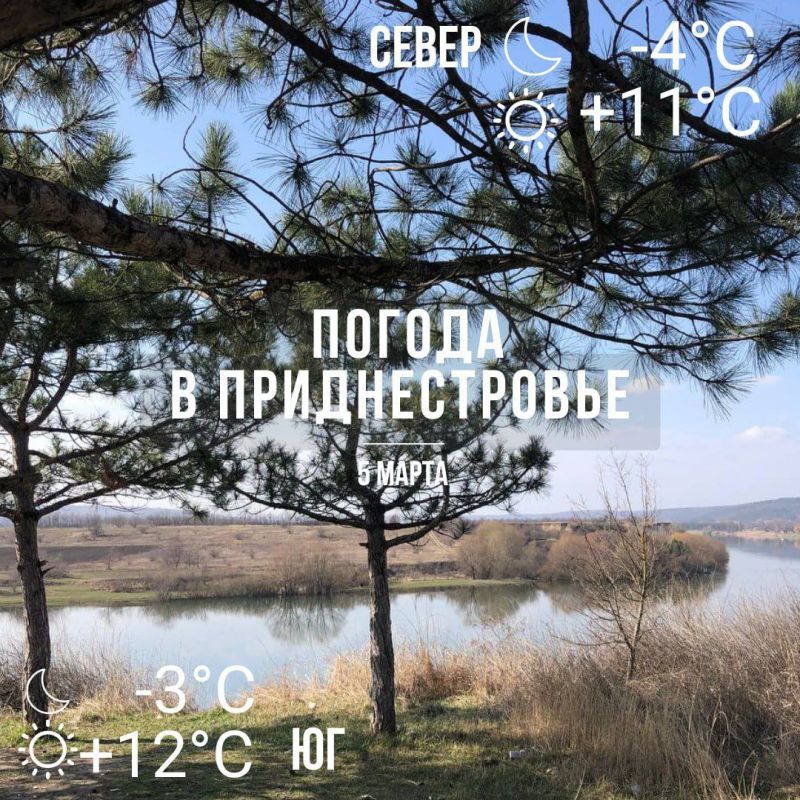 ����� � ��������� �����. ���� � �� +12��. ��� �������