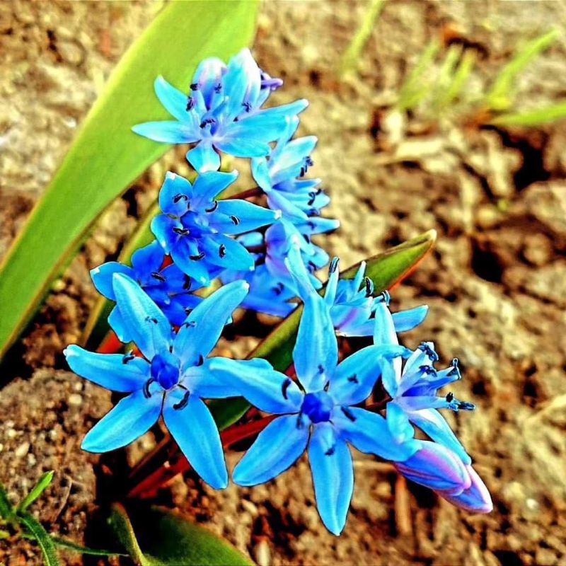 ����� ������! ����� ������!