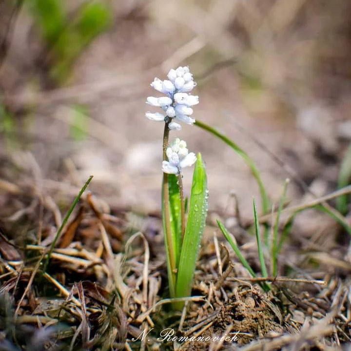 �������� ������������� �������� - � ����� ������� ������� ������� ���������� �������� ������