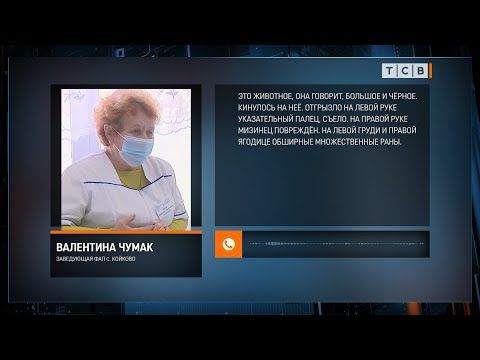 � ���� ������� ������������� ������ ������� ����� �� ������� �����, ��� ��� ����������, ����. � ���������� ������� �������� �������� ������� ����� ������, ��������� ����� � �������. ������ ������������ � ��������