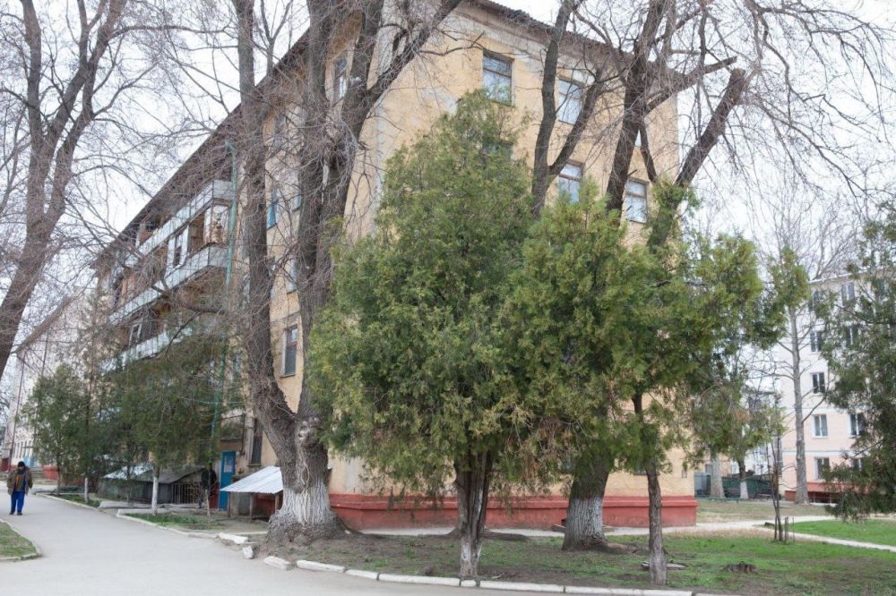 � ����������� �� 1 �������� ��������� ���������� ������� � ��������