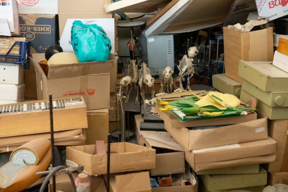 ���� �������������������� ����� ������� ��� ����������� 12 ������