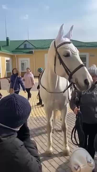 � ����� �� ������ ���������-��������������� ������������ ������ � ����� ������ ������� � ���� ������ �� ����������� ������� ����� ������