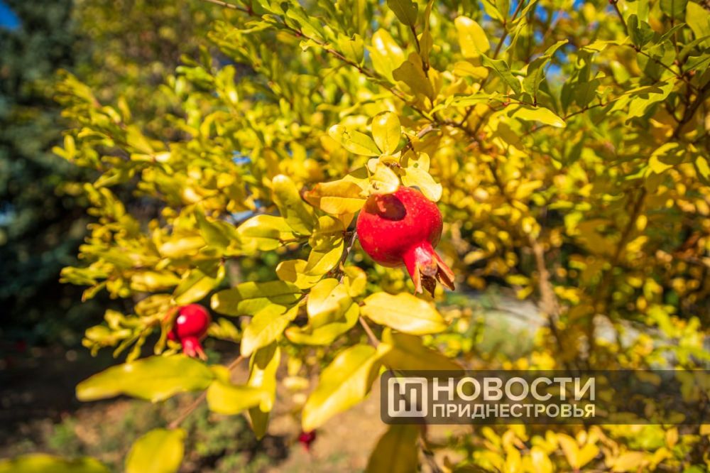 50 �������� ������� �����, 57 �������� � 227 ������������ ����������� �������� � ��������������� ������������ ����