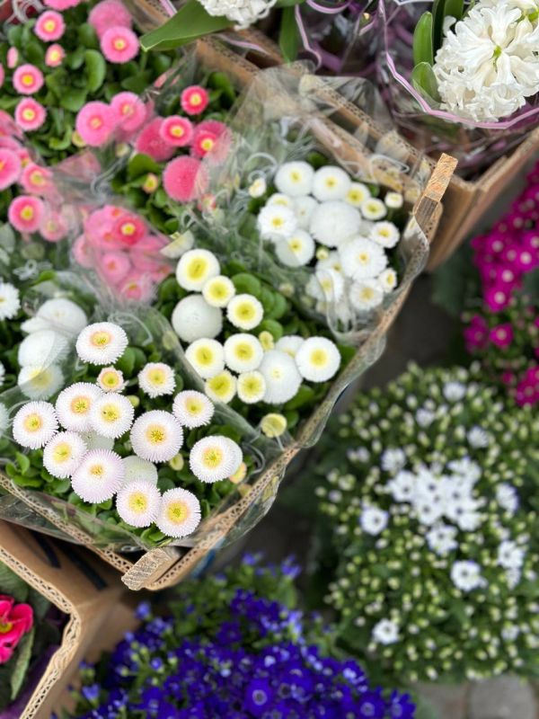 � ������� ������������ �� 45 ������