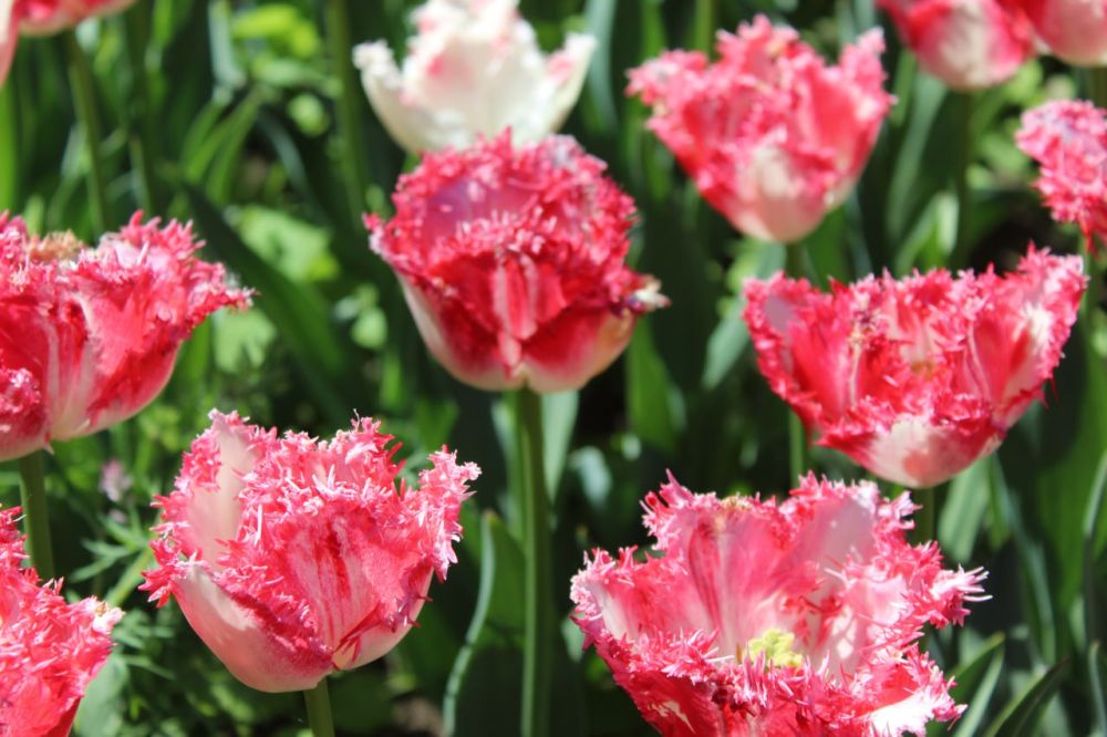 � ������������� ������� ����!