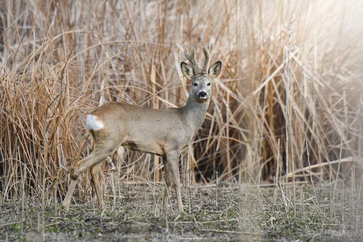 ���������� ����� ������ � ���� �������