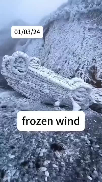 ��� ��� ���� � ��������� ��������� ������ ����� �������� �����