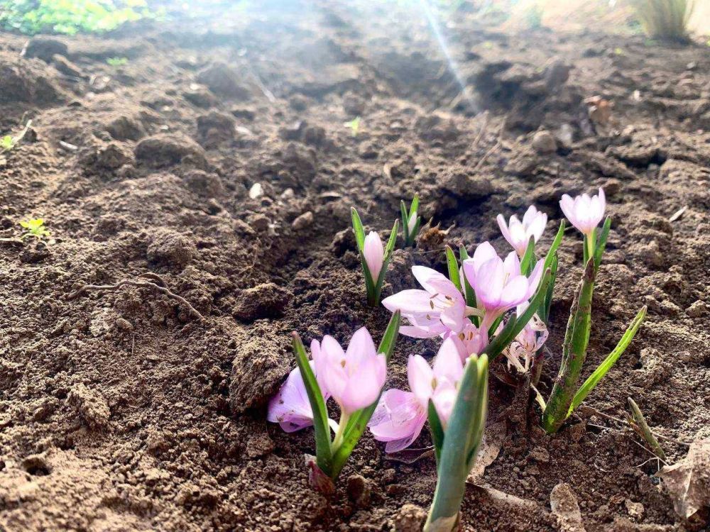 ����� �������� 8 ����� � ��� ���� � 2010 ���� - ����� 17. ����� ������ ������� ���� ��� � 2002 ����, 20 �������� �����