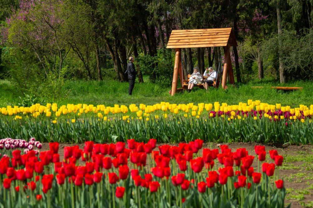 �������� ������� �������� ������ � � ������