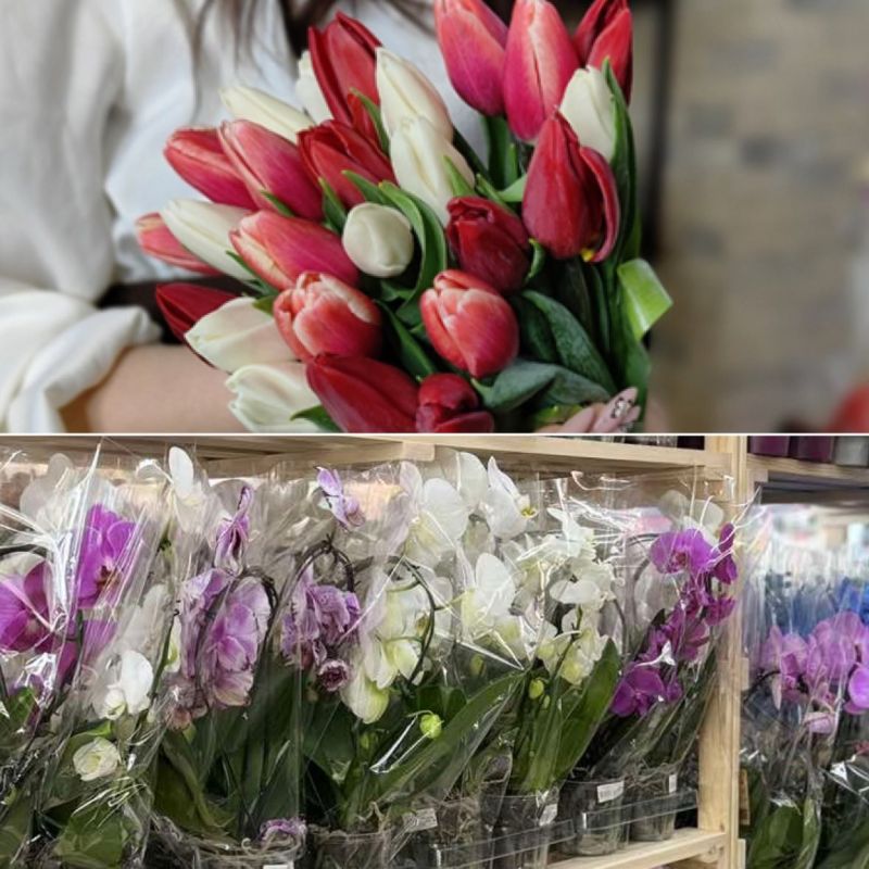 ���������� ��� ������� ����� ������ ����� ����� ������� �������� �� 8-�����?�