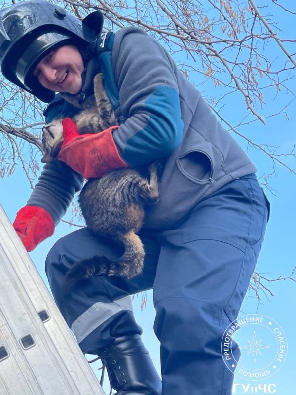 ������ �����. ������� 7 ����� ���������� ��������� ����� � ������ �����, ������� ��������� ��� ����� ���� ����� � �������� �������