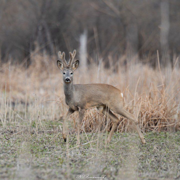 ������ �� ������ ����� ���������� ��� ������� ������� ����������