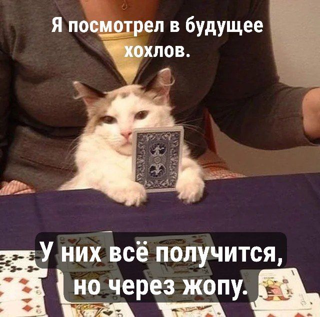 �� ���� ��� ��, � � ����