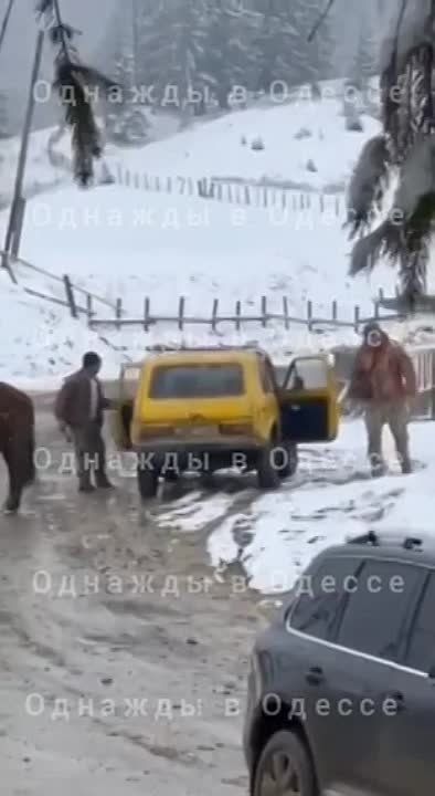 ���������� ���������� �������, � ����� ����� �� ��� � �������