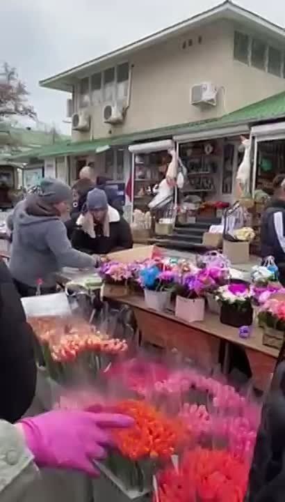 ������ �� ��������� ������ � 7 ����