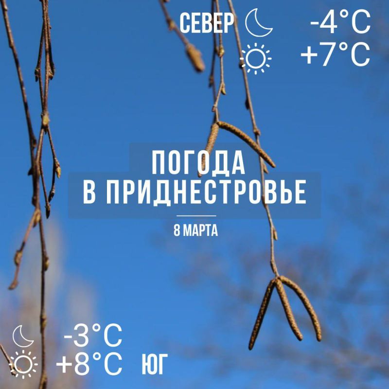 ������� � �� +8��. ��� �������