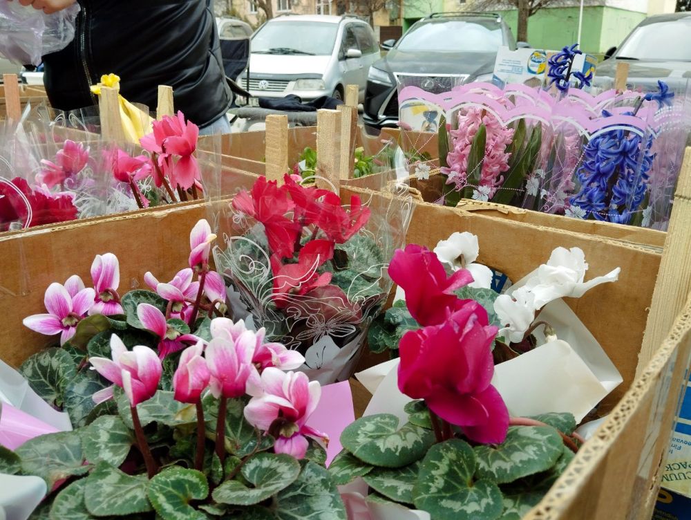 ����� ����� ����� ���������� ��������� �������� �� ����� ���������� ����