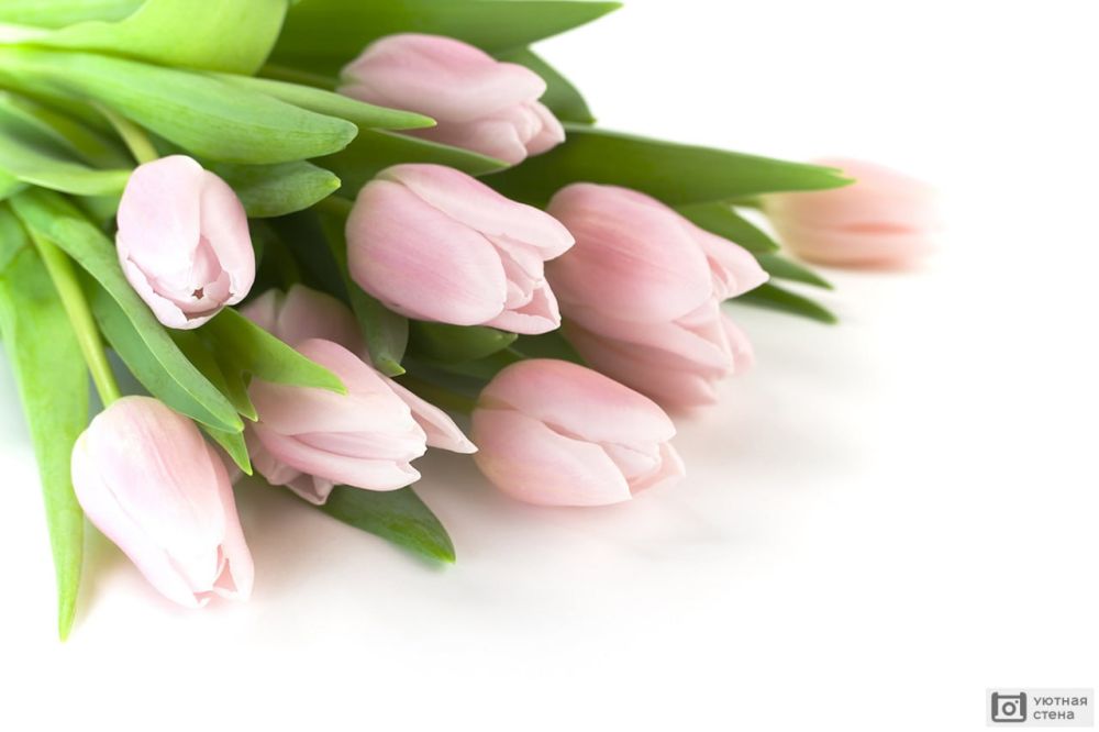 ��������� ��� ����� �������������� ��������� ������ ������������� � 8 �����: