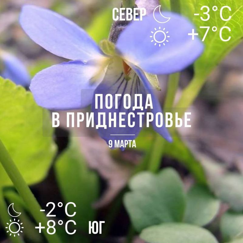 ���� � �� +8��. ��� �������