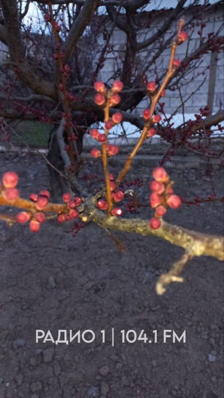 ������� ��� ����� �����