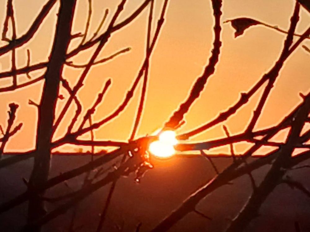 �������� ������ � ������������ ����� ���������� ��� ����