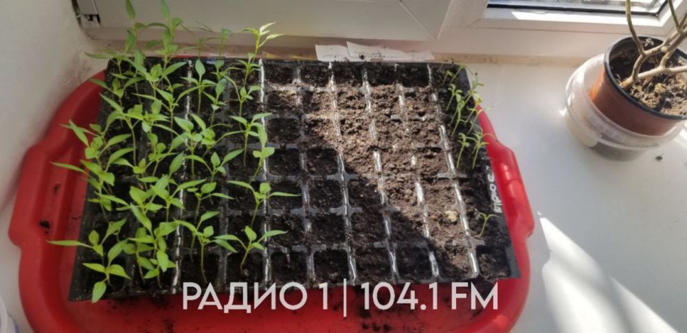 �� ���� ������������ ������