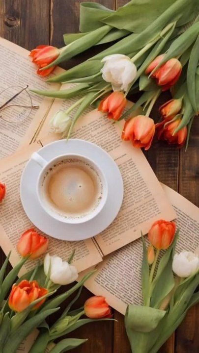 ������ ����!