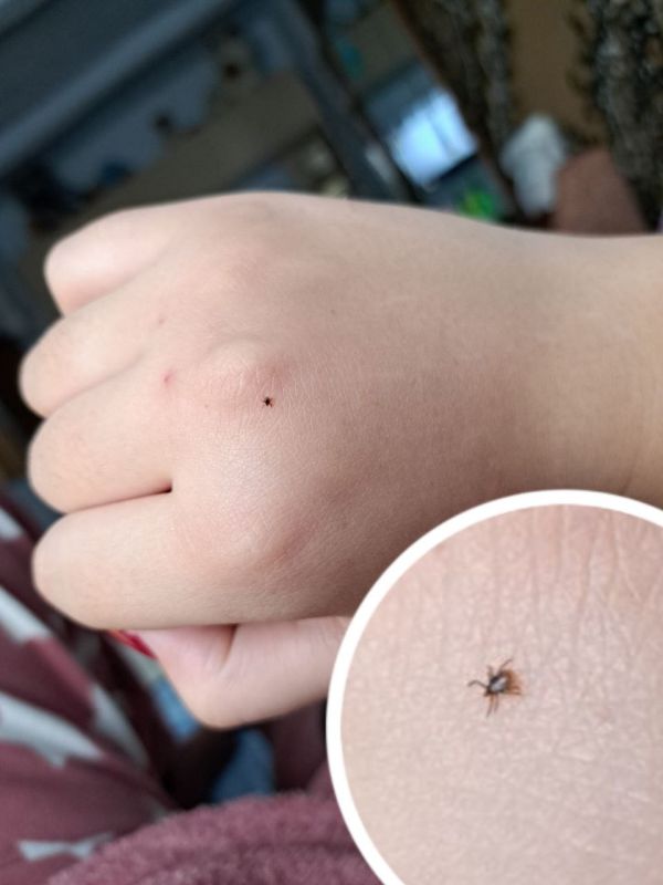 ����� ����������. ���� �� ����������� �� �������